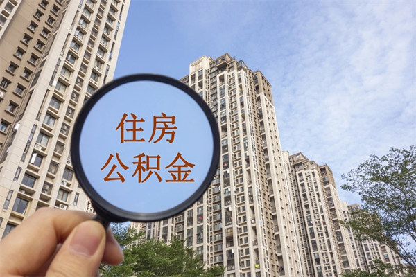沭阳深圳公积金（深圳公积金首页）